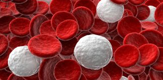 Czym są leukocyty we krwi?