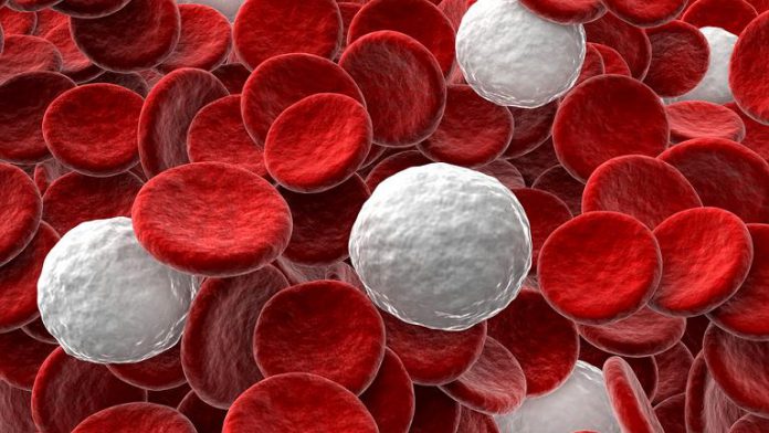 Czym są leukocyty we krwi?